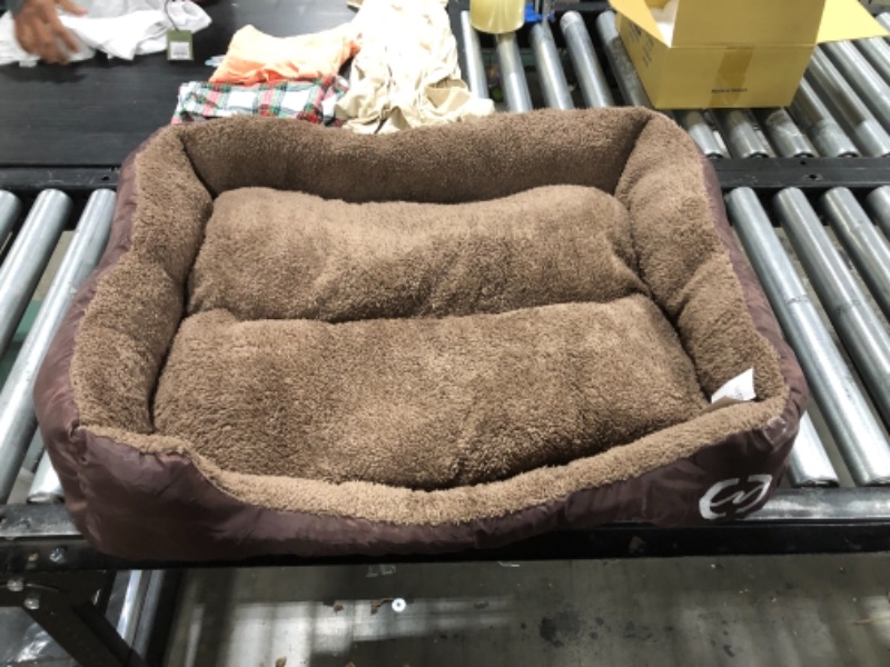 Photo 1 of 24x20 inch Brown Dog Bed 