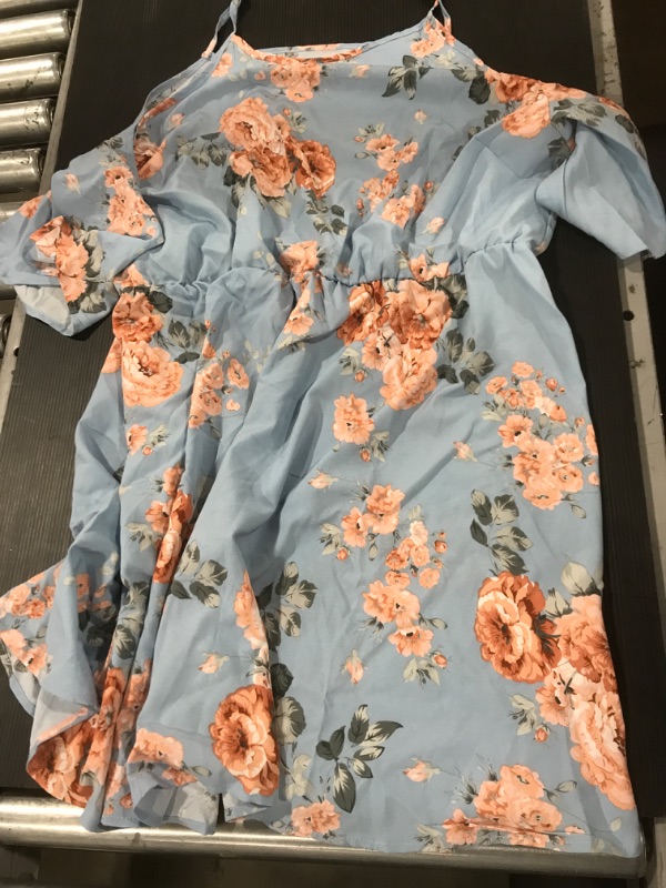 Photo 1 of [Size XL] Ladies Open Should Flowy Dress- Blue Floral