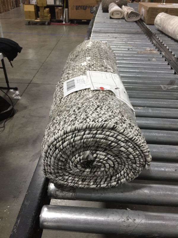 Photo 1 of AREA RUG 2'6" X 16'