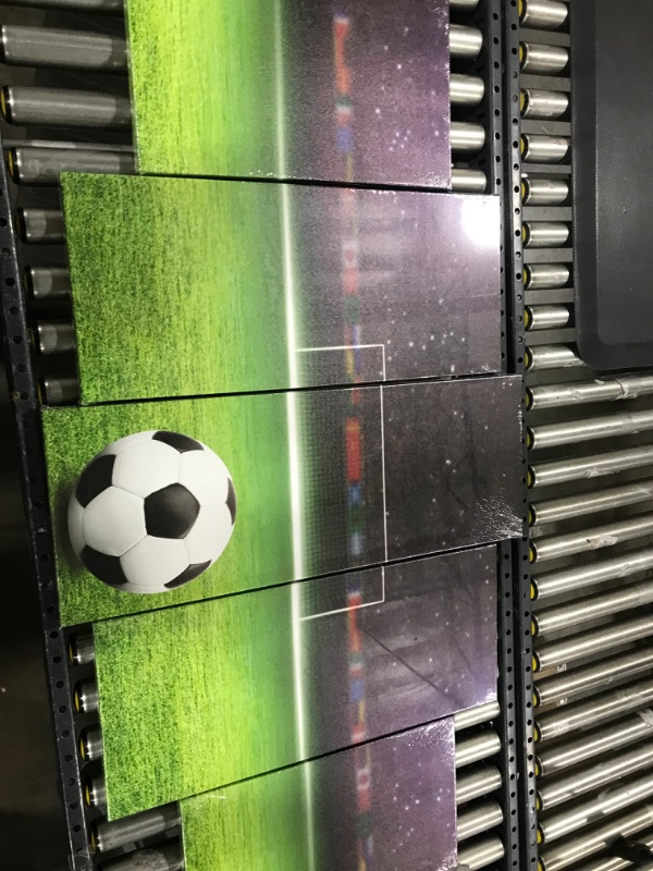 Photo 1 of 5 PANEL  SOCCER FIELD AND BALL PITCURES