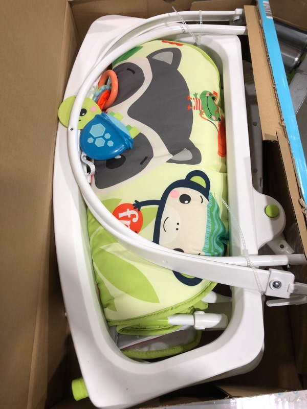 Photo 2 of Fisher-Price  Infant-to-Toddler Rocker Green