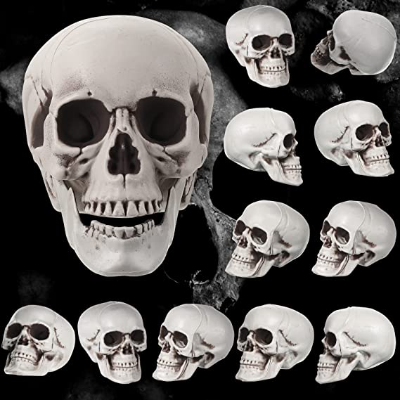 Photo 1 of 12 Pcs Human Skull Model Halloween Skulls Realistic Skull Decor Large Small Plastic Skull Heads Fake Adult Head Bone for Education Home Table Skeleton Decorations, 7 x 6.7 x 5.5, 2.4 x 1.8 x 1.6 Inch
