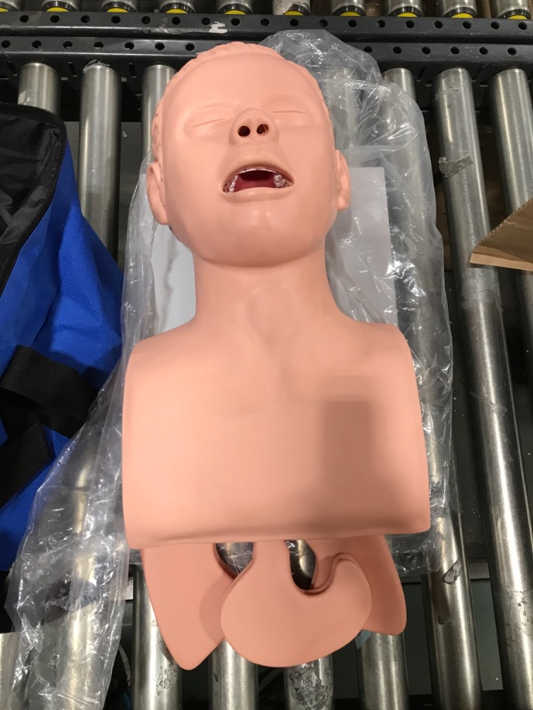 Photo 2 of PVC Adult Intubation Manikin Teaching Model, Airway Management Trainer Tracheal Intubation Training Simulator Model, Science Lab Education, 110V