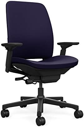 Photo 1 of Steelcase Amia Ergonomic Office Chair with Adjustable Back Tension and Arms | Flexible Lumbar with Sliding Seat | Black Frame 