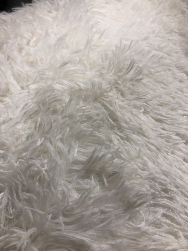Photo 2 of 12x4 feet rug indoors white