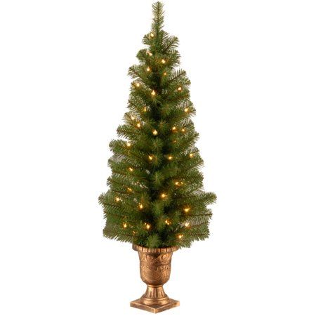 Photo 1 of  National Tree Company 4 Ft. Montclair Spruce Entrance Tree with Clear Lights 