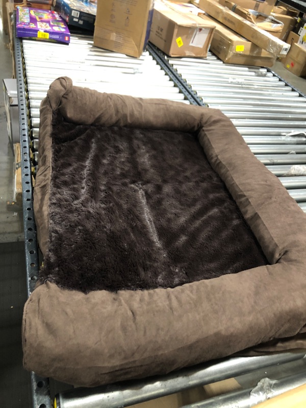 Photo 1 of  dog bed 25" x 35"