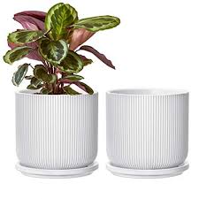Photo 1 of Ceramic Flower Planter Pots for Plants, 5 Inch Succulent Planters with Drainage Holes and Saucers for Indoor Plants, House Plants, Cactus, Herbs, Snake Plants, Aloe Vera, Set of 2, White
