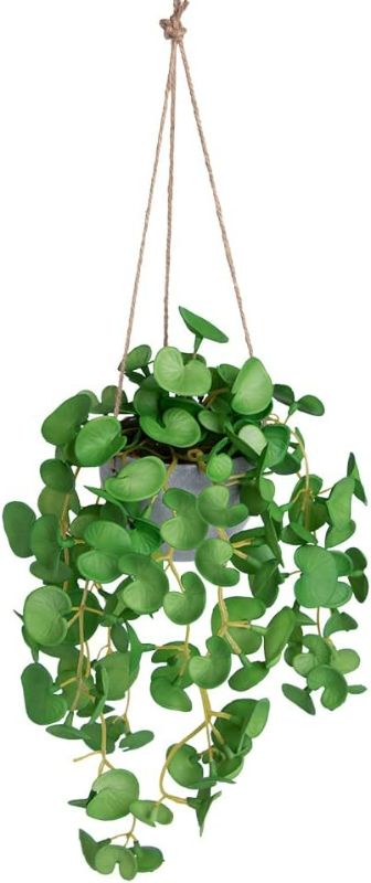Photo 1 of dallisten Mini Hanging Plant, Artificial Small Hanging Plants, Greenery Decor for Wall, Bedroom, Cupboard, Window, Dinning Room, Indoor or Outdoor
