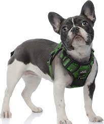 Photo 1 of TwoEar Dog Harness, No Pull Reflective Harness Front Clip Easy Control Handle Adjustable Soft Padded Pet Vest for Puppy Small Medium Large Dogs Breed Pet(XS,Gray)
