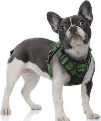 Photo 1 of TwoEar Dog Harness, No Pull Reflective Harness Front Clip Easy Control Handle Adjustable Soft Padded Pet Vest for Puppy/Small Dogs Breed Pet(XS, Gray)