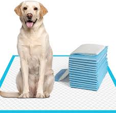 Photo 1 of Paw Day - Training Pads - XL - 20ct 