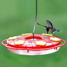 Photo 1 of Saucer Style Hummingbird Feeder
