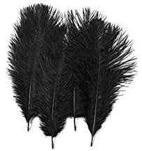 Photo 2 of Special Sale Ostrich Feathers - Long Deluxe Tail Feathers - Black - for Eiffel Towers by Six Star Sales
