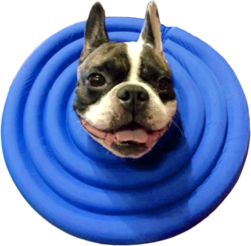 Photo 1 of Alfie Pet - Toby Waterproof Recovery Collar for Dogs and Cats - Color: Blue, Size: Small
