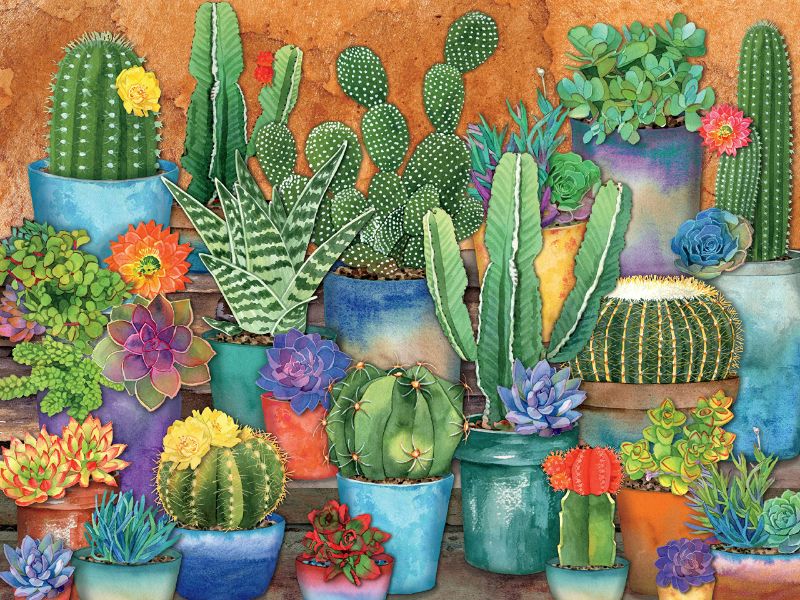 Photo 3 of Ceaco - Succulents Puzzle 3 Pack - Succulent Synergy - Pretty Pastels - Bright Succulents - ALL 24"x18" - Oversized 300 Piece Jigsaw Puzzles