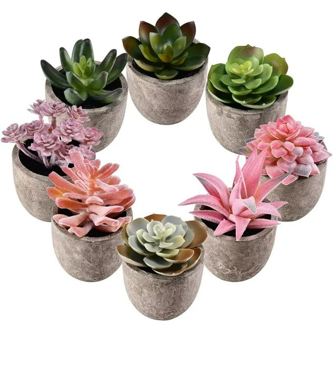 Photo 1 of Airbin Realistic Artificial Succulent Plants in Pots – Set of 8 Mini Fake Succulent Plants - Faux Succulents Small Fake Succulents with Pots for Indoor Home, Office & Shop Decoration
