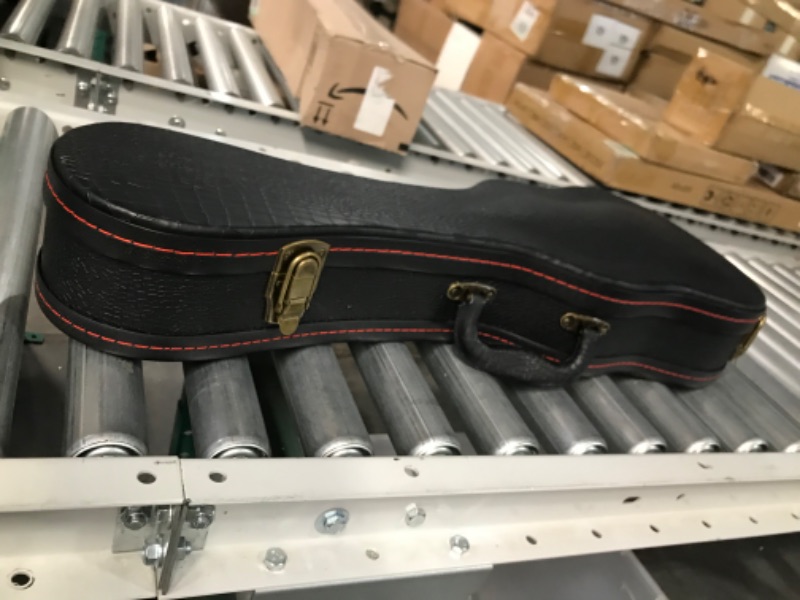 Photo 1 of *IN GOOD CONDITION, CLEAN* Hard Shell Instrument Case 28"L