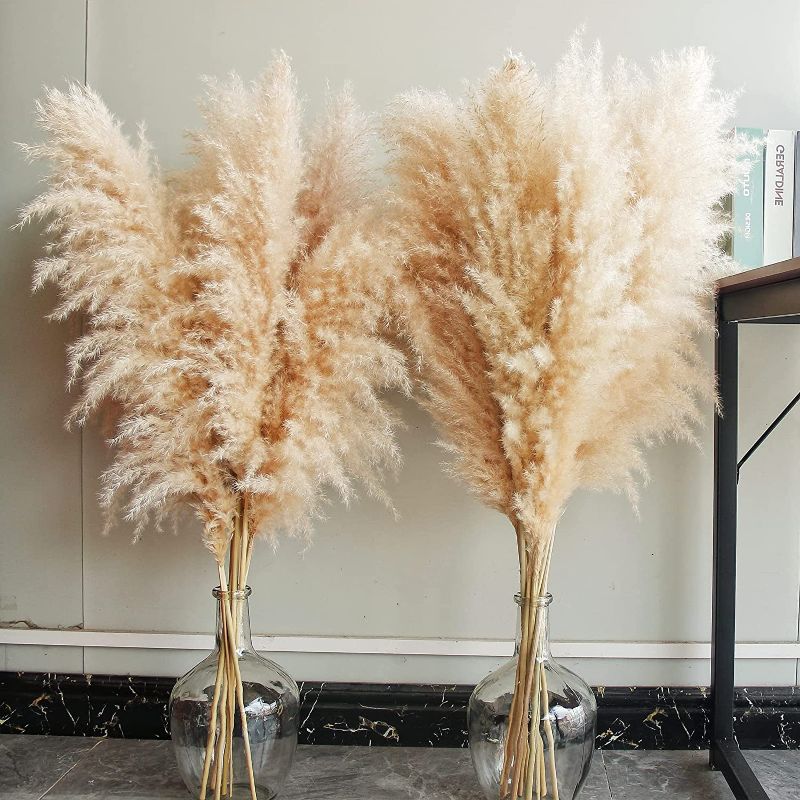 Photo 1 of [Brand New] Bannifll 40" inch 10 Stems Natural Pampas Grass Decor Tall, pompas Grass