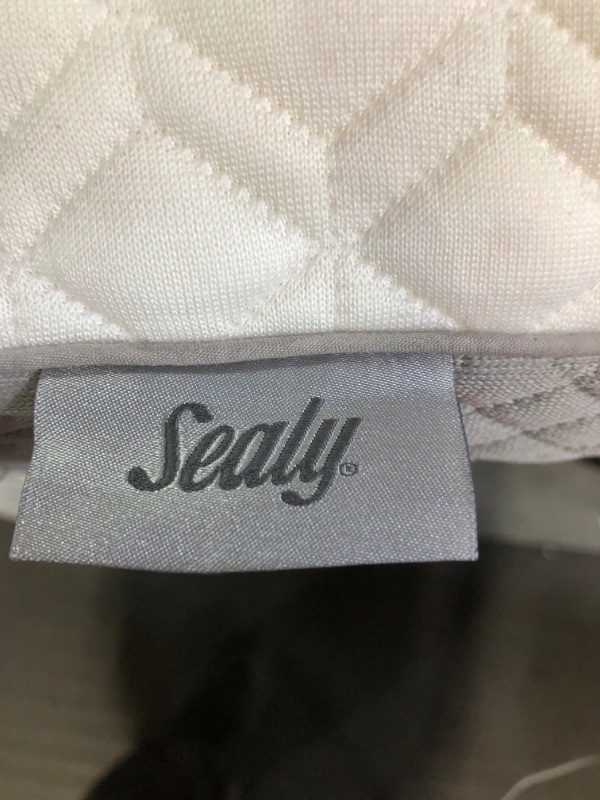 Photo 4 of ****USED****
Sealy Molded Memory Foam Pillow White/Grey