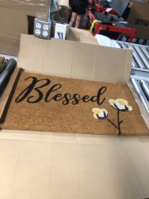 Photo 1 of *SEE NOTES DII Natural Coir Doormat Outdoor Welcome Mat, 17x29, Greenery
