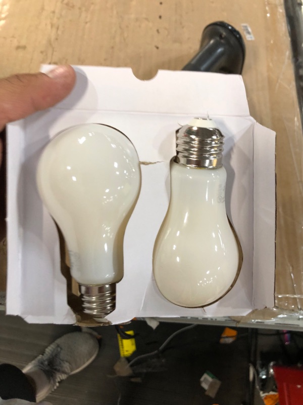 Photo 3 of 100-Watt Equivalent A19 Dimmable CEC Frosted Glass Filament LED Light Bulb Bright White (2-Pack)