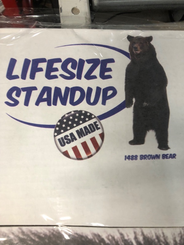 Photo 3 of Advanced Graphics Brown Bear Life Size Cardboard Cutout Standup new