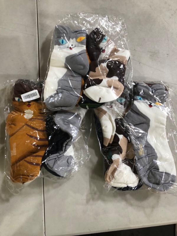 Photo 1 of 12 Pack of Cat High Socks for Women 