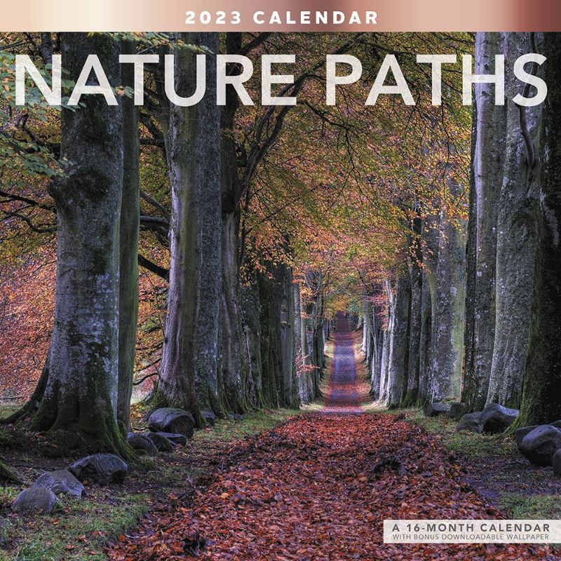 Photo 2 of 6 pack bulk 2023 calendars. european cities and nature paths. 