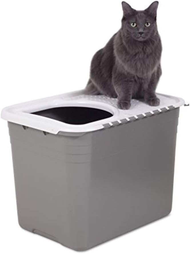 Photo 2 of Petmate Top Entry Litter Cat Litter Box With Filter Lid To Clean Paws