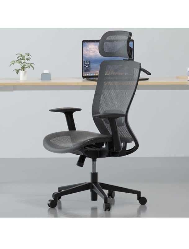 Photo 1 of FLEXISPOT Ergonomic Executive Mesh Office Task Chair