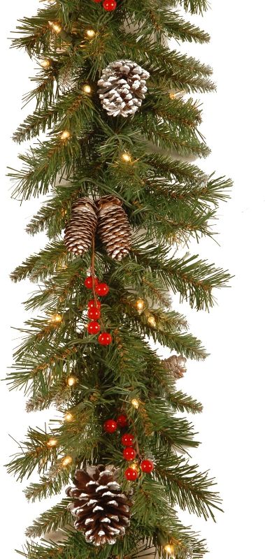 Photo 1 of **SEE NOTES**
National Tree Company Pre-Lit Artificial Christmas Garland, Green, Frosted Berry, White Lights, Decorated with Pine Cones, Berry Clusters, Plug In, Christmas Collection, 9 Feet
