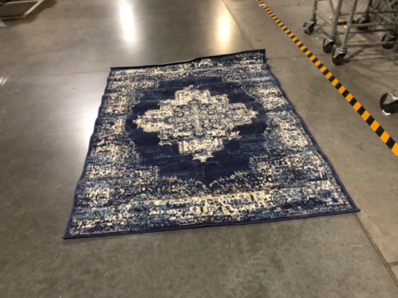 Photo 2 of ***USED - COVERED IN DOG HAIR***
Nourison Grafix Navy Blue 5'3" x 7'3" Persian Area Rug, Modern, Easy Cleaning, Navy Blue, Patterned