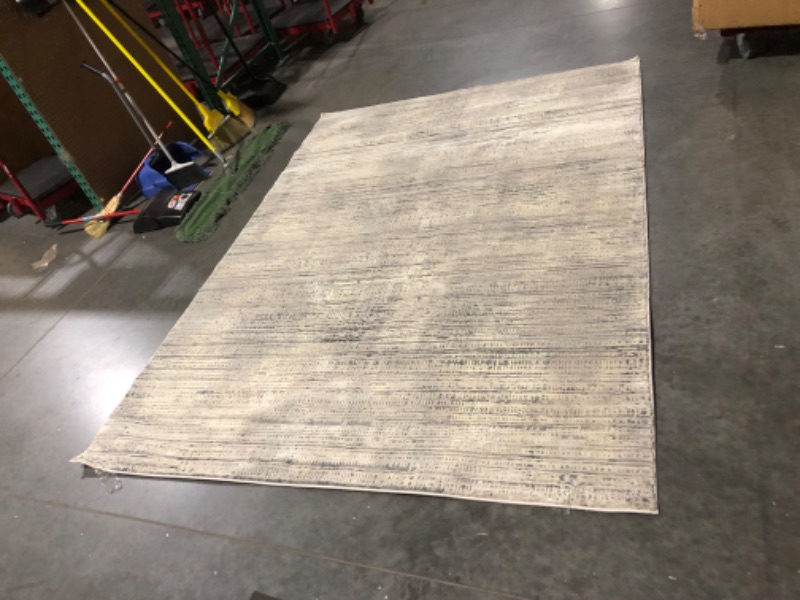 Photo 2 of ***USED AND DIRTY - NO PACKAGING - SEE PICTURES***
Surya Global Alder Washable Area Rug, 6'4" x 9', Taupe