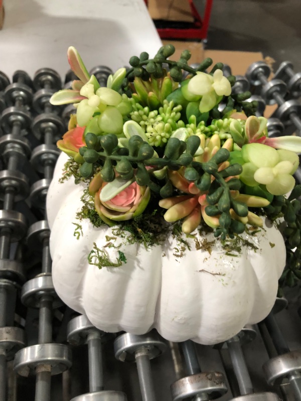 Photo 4 of One Holiday Way 8-Inch White Faux Succulent Pumpkin Fall Tabletop Decoration - Autumn Thanksgiving Dinner Table Centerpiece Rustic Country Farmhouse Wedding Home Decor