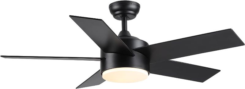 Photo 1 of SNJ Ceiling fans