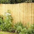 Photo 1 of 4 ft. x 8 ft. natural reed fence