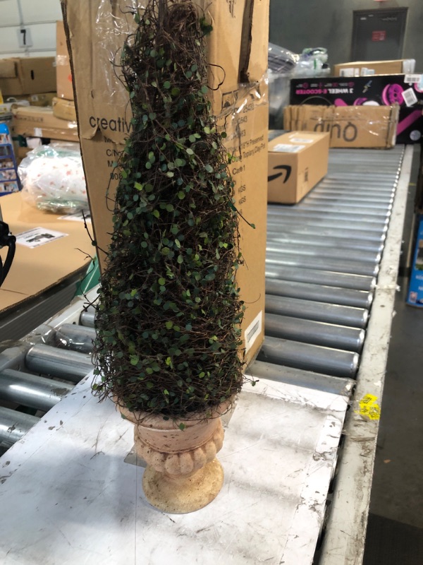 Photo 2 of  Boxwood Cone Topiary 19" **STOCK IMAGE REFERENCE ONLY/SEE PHOTOS**