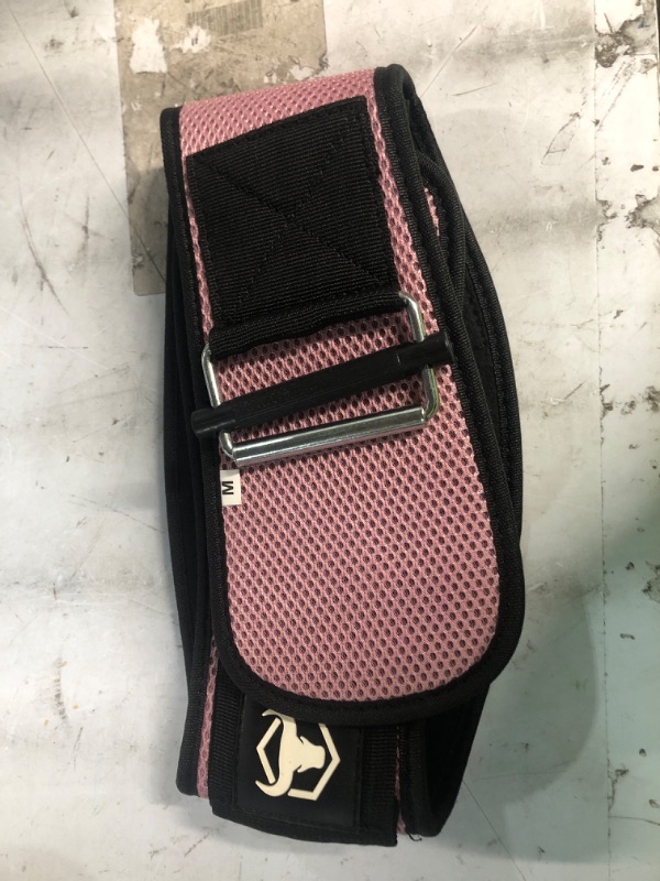 Photo 2 of 6" Reinforced Nylon Weightlifting Belt, Pink / M