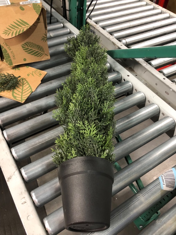 Photo 1 of (SEE NOTES)Nearly Natural 3ft. Mini Cedar Pine Tree (Indoor/Outdoor)