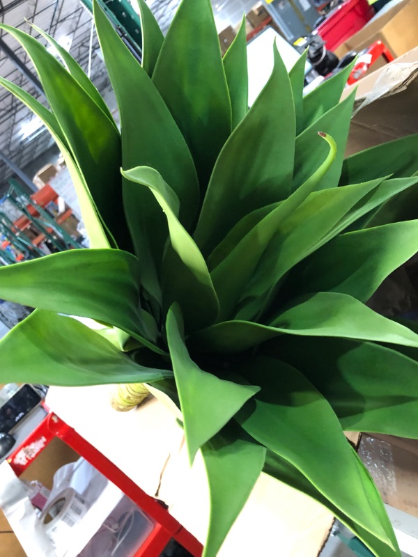 Photo 1 of *STOCK PHOTO FOR REFERENCE ONLY* Velener Outdoor Artificial Plant (Pack of 2) 