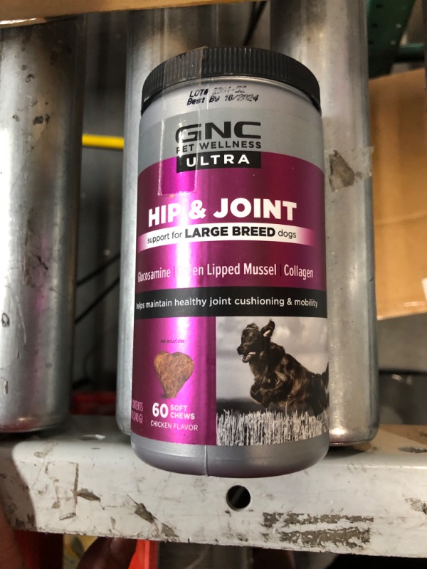 Photo 1 of ***EXP 10/2024***
GNC Pets Ultra Hip & Joint Soft Chews, Large Breed, Chicken Flavor. 60-ct in a 16-oz Canister | Dog Hip & Joint Supplement Chewable Chicken Flavored Dog Chews 60 Count Hip & Joint - Large Breed