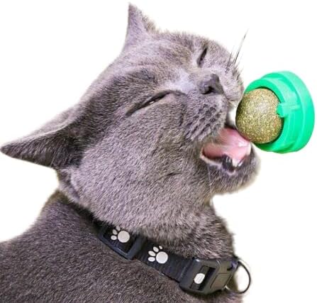 Photo 1 of 2PK-ARCWAY Catnip Wall Balls Edible Kitty Catnip Wall Toys Licking Rotatable Cat Snack Ball Cat Wall Treats, Safe Healthy Kitten Chew Toys, Teeth Cleaning Dental Cat Toy, Cat Wall Treats
