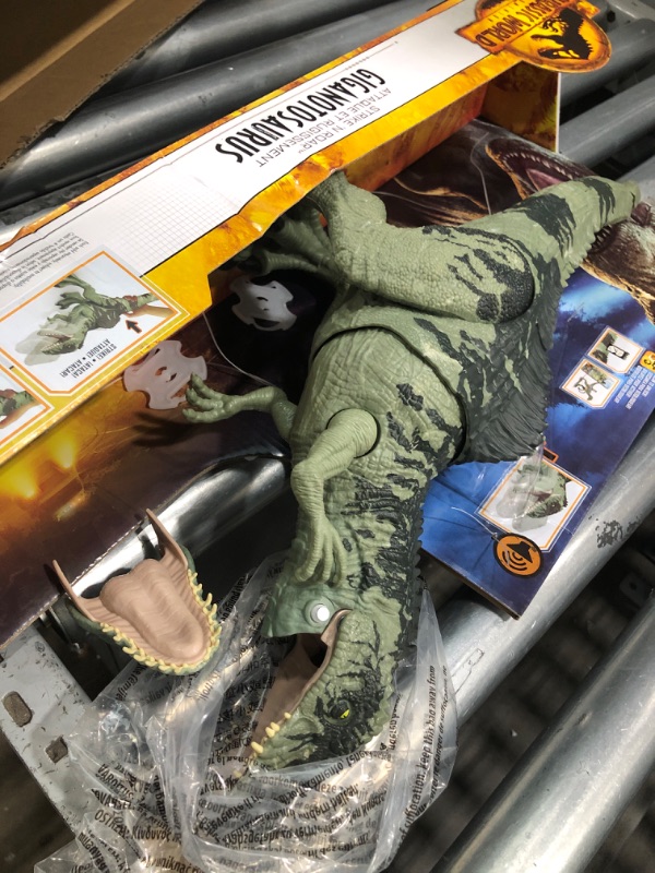 Photo 2 of *REVIEW NOTES* Jurassic World Dominion Dinosaur Toy, Strike N Roar Giganotosaurus, Action Figure with Striking Motion and Sounds?? Frustration Free Packaging