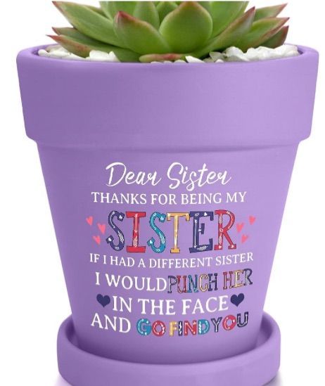 Photo 1 of 2  Sister Gifts, Mothers Day Gift for Sister, Sisters Gifts from Sister, Gifts for Sister, Planter Pot Gifts with Drainage Hole and Saucer Indoor Outdoor(purple