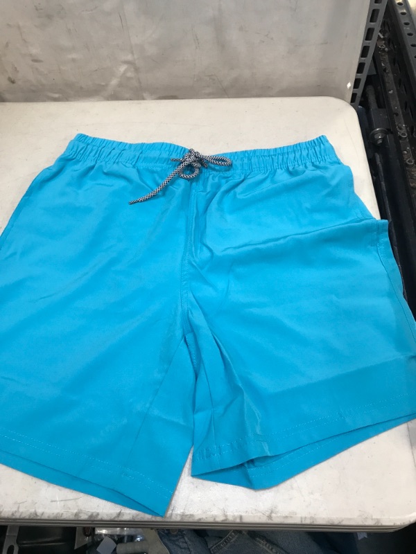 Photo 1 of BLUE SMALL SWIM SHORTS
MENS
