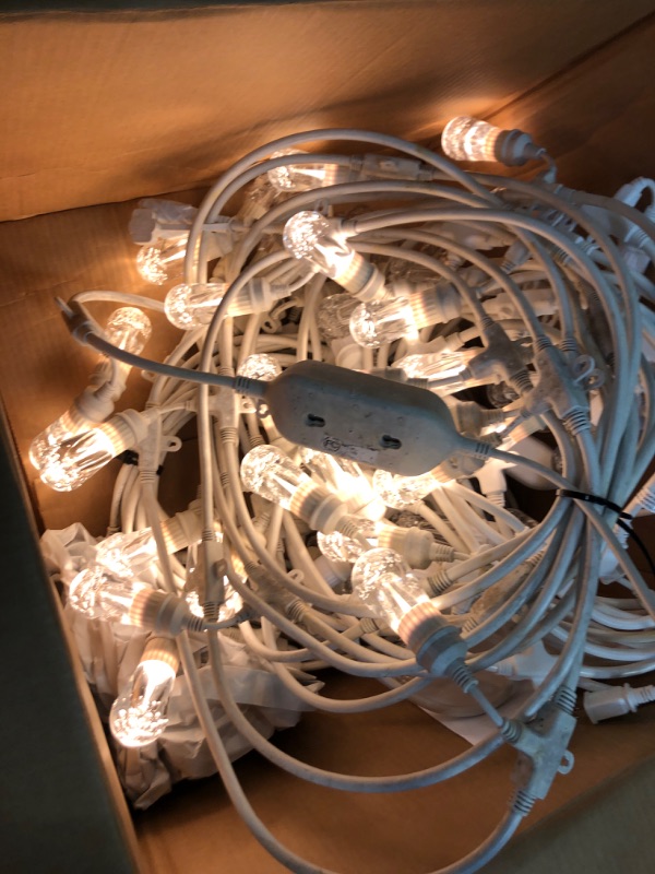 Photo 2 of  Outdoor String Lights, White, 48ft, 24 Lifetime Bulbs, 