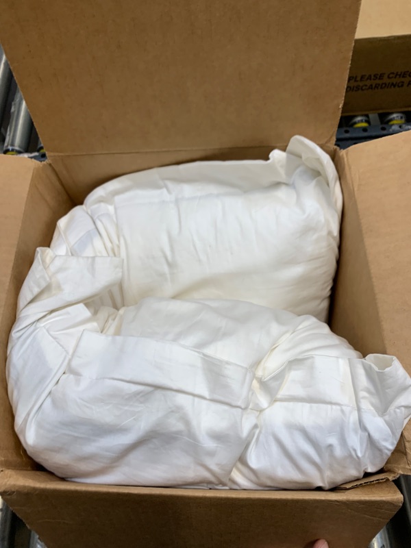 Photo 1 of 20" x 28" Pillow --- Box Packaging Damaged, Moderate Use, Dirty From Previous Use
