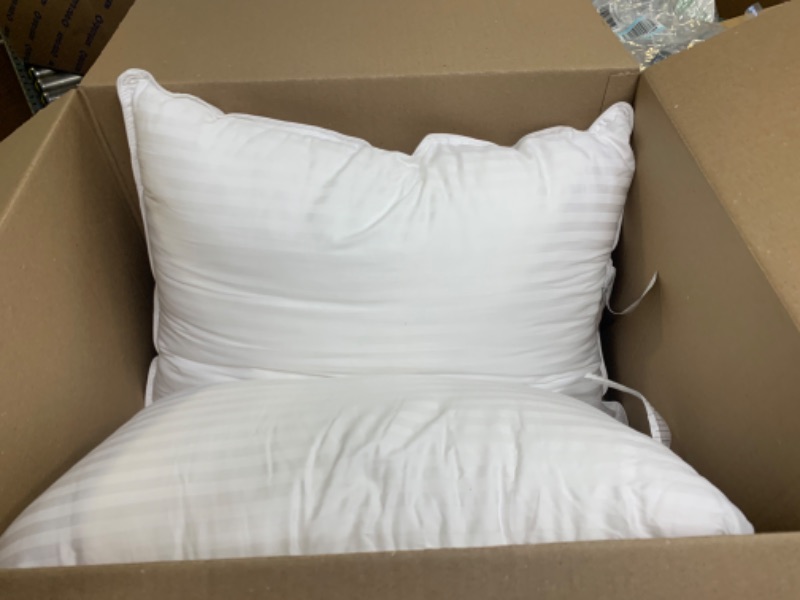 Photo 1 of 2 Pack of 20" x 28" Pillow Inserts --- Box Packaging Damaged, Minor Use, Dirty From Previous Use
