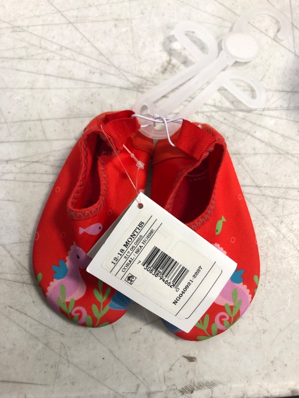 Photo 1 of Baby Girls' Ro+Me by Robeez Sea Horse Sandals , SIZE 12-18M